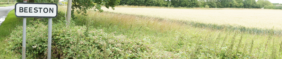 field